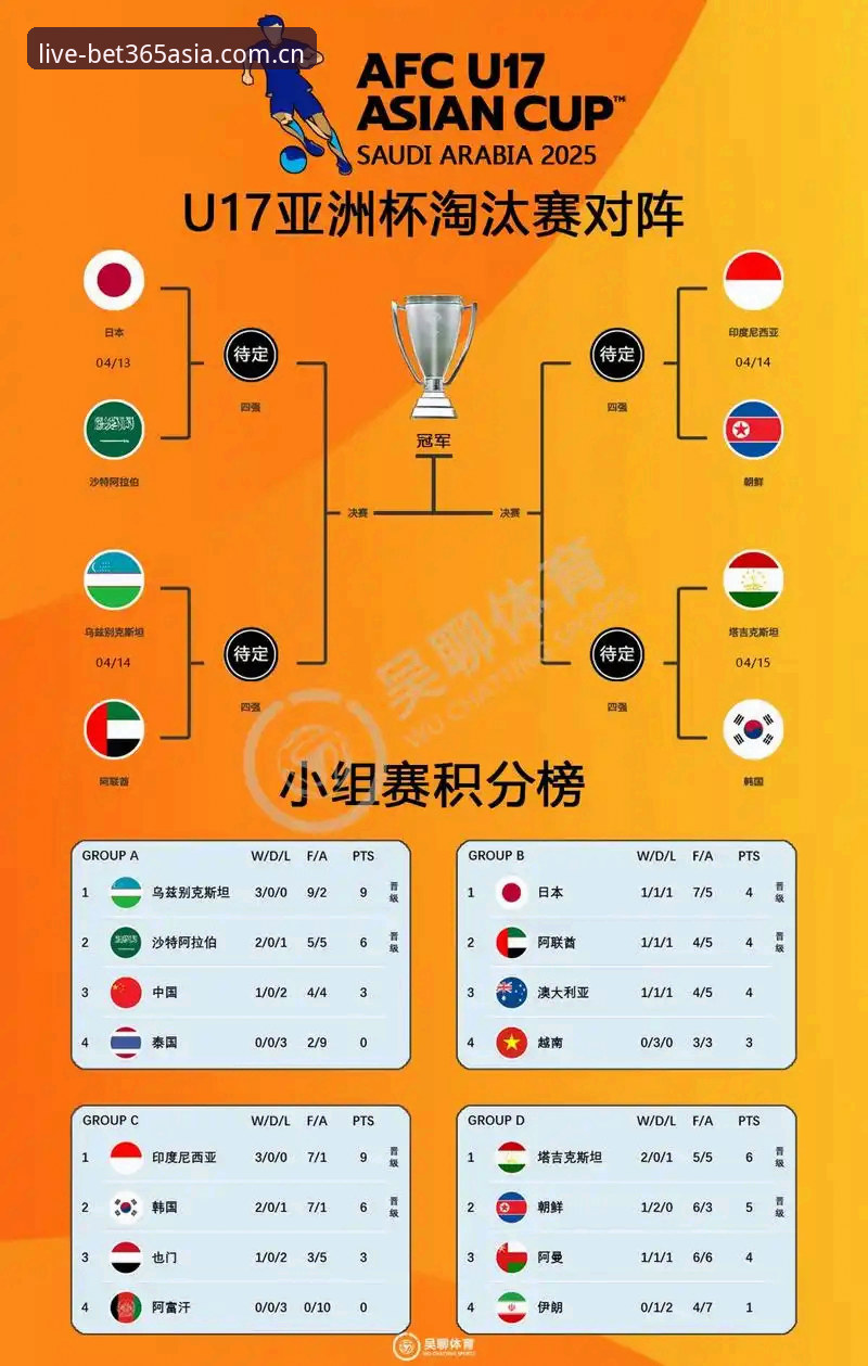 世界杯扩军66队最新动态：中国男足迎来历史性机遇，bet365亚洲版深度解析